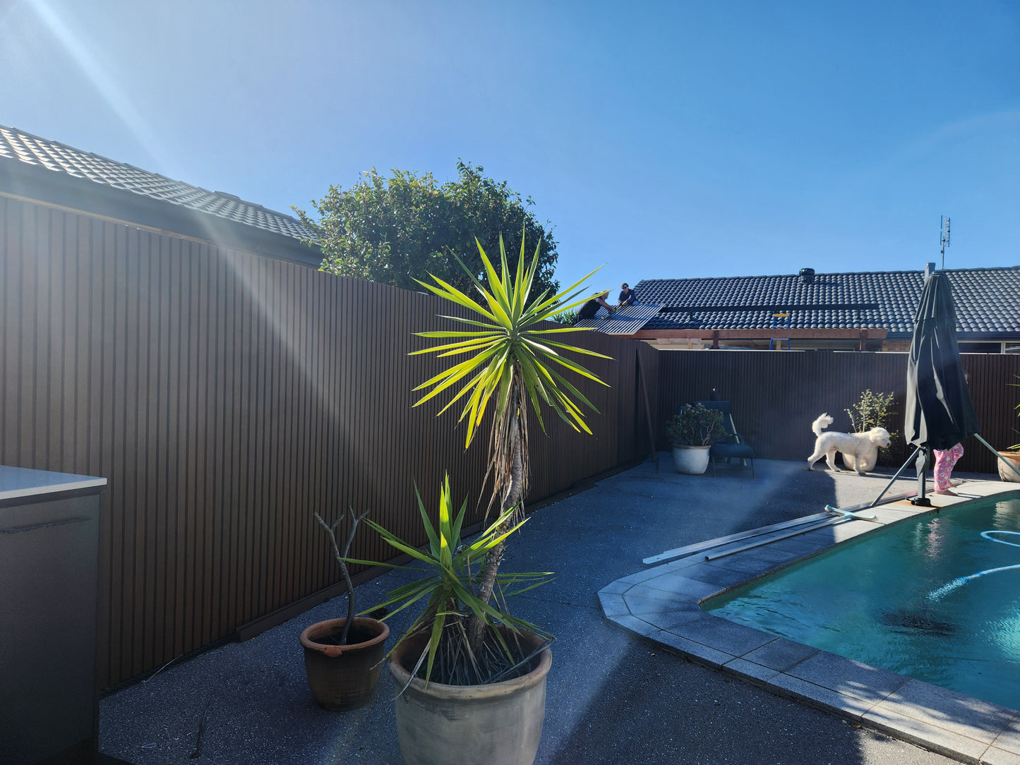 WPC wall cladding panels with a natural timber finish, designed for durability and style