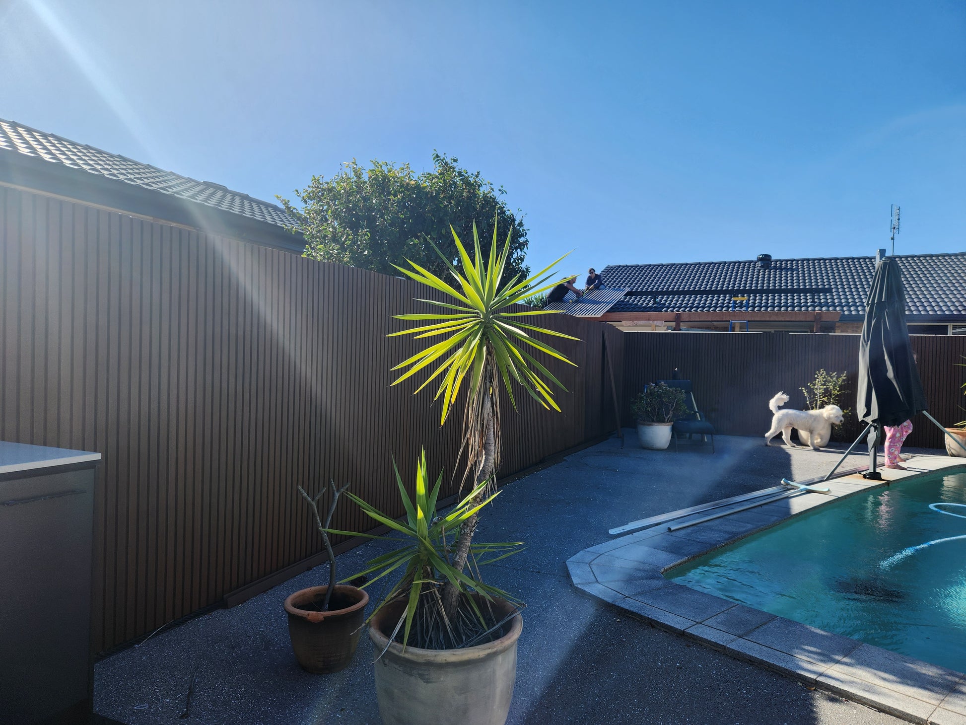 WPC wall cladding panels with a natural timber finish, designed for durability and style