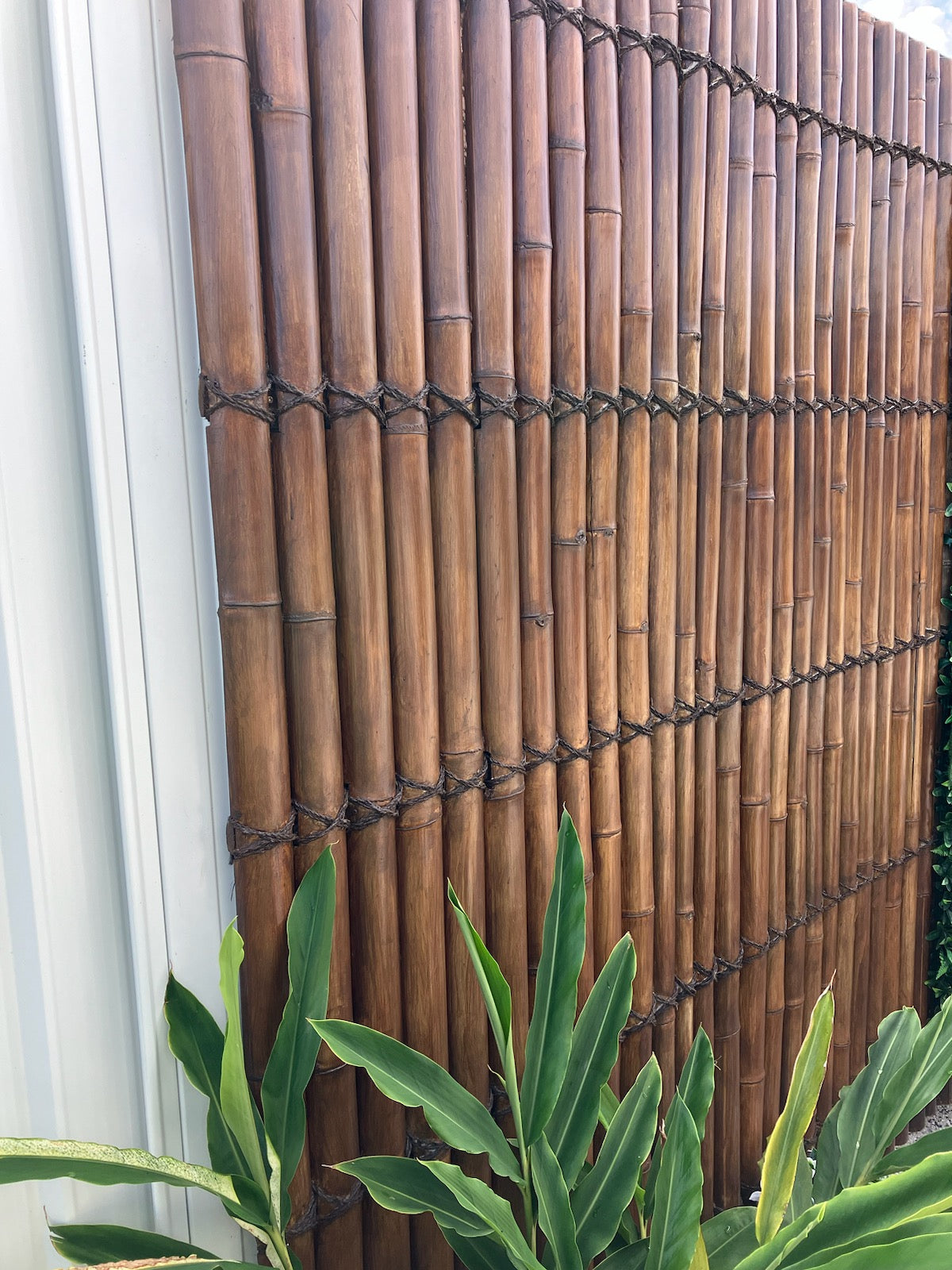 a fence in Coolum making a zen feel garden.