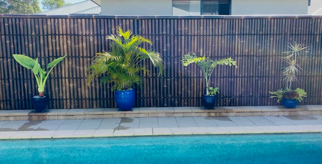 a nice heigh fence has been put up around a pool area.