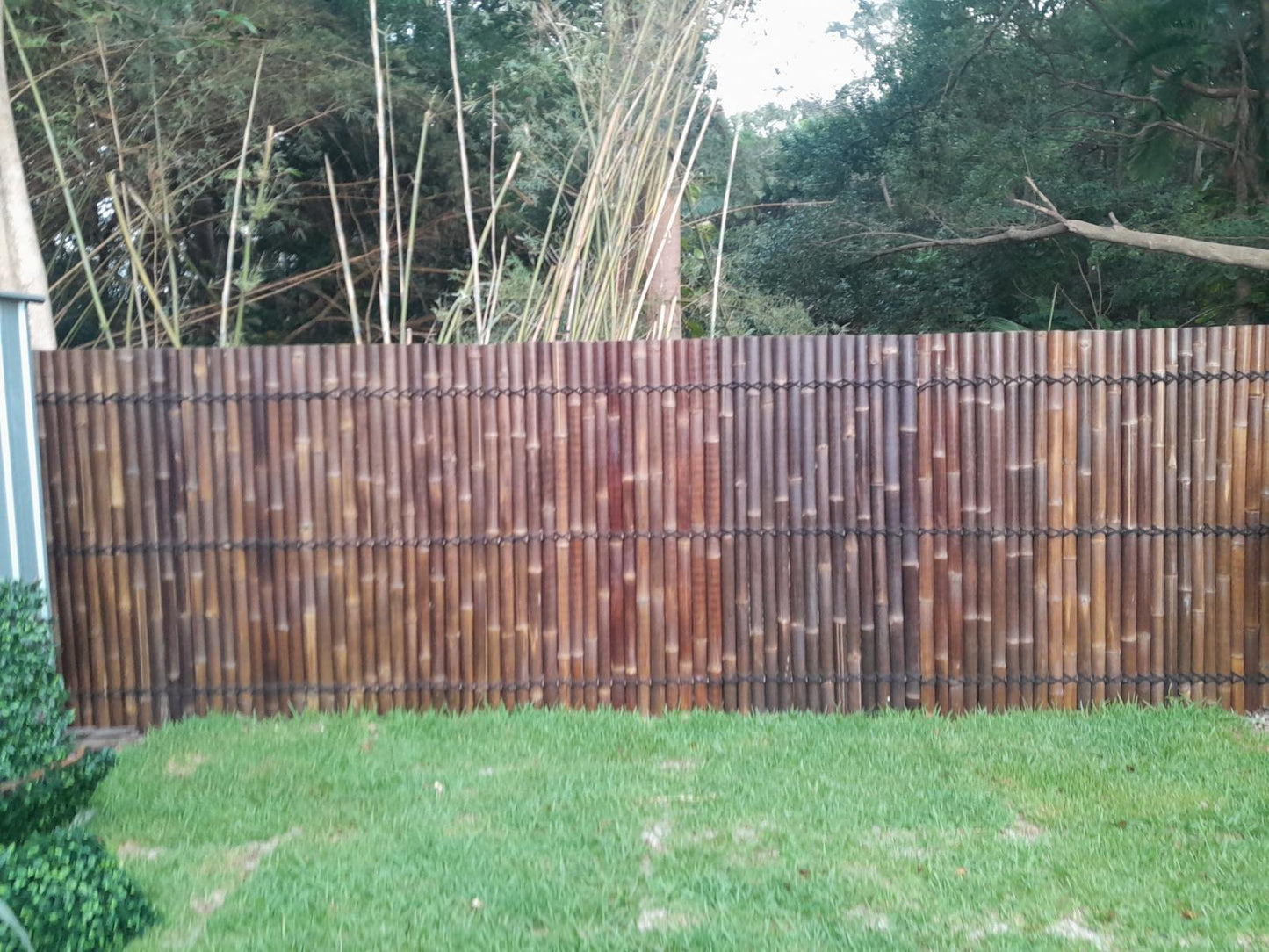 an old fence has been covered up with bamboo screens 1800mm height