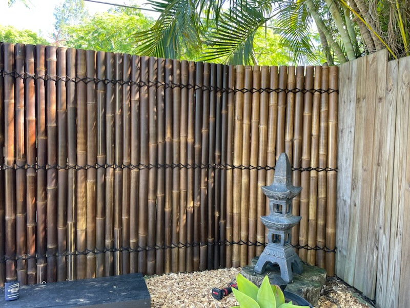 a good looking screening from a bamboo panel has made this garden look zen.