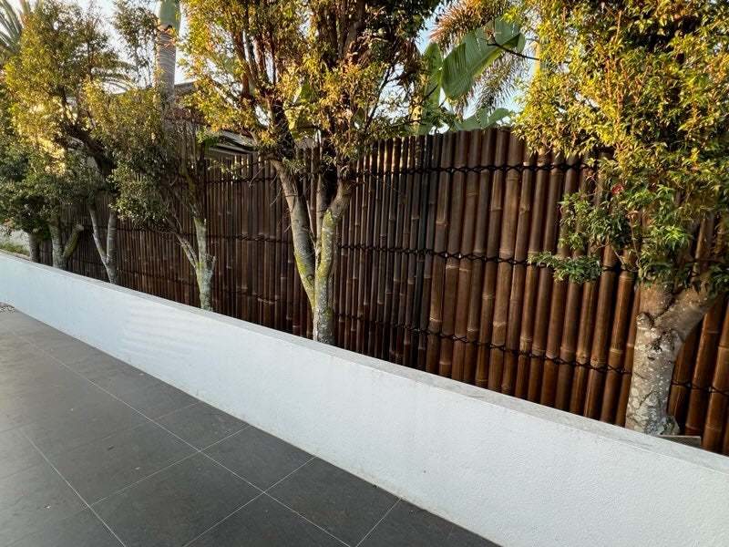 a bamboo wall has covered up the next door neighbours from looking over. creating privacy 