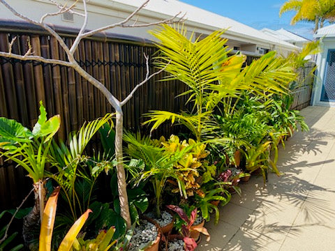 a Bamboo fence with nice plants in front.