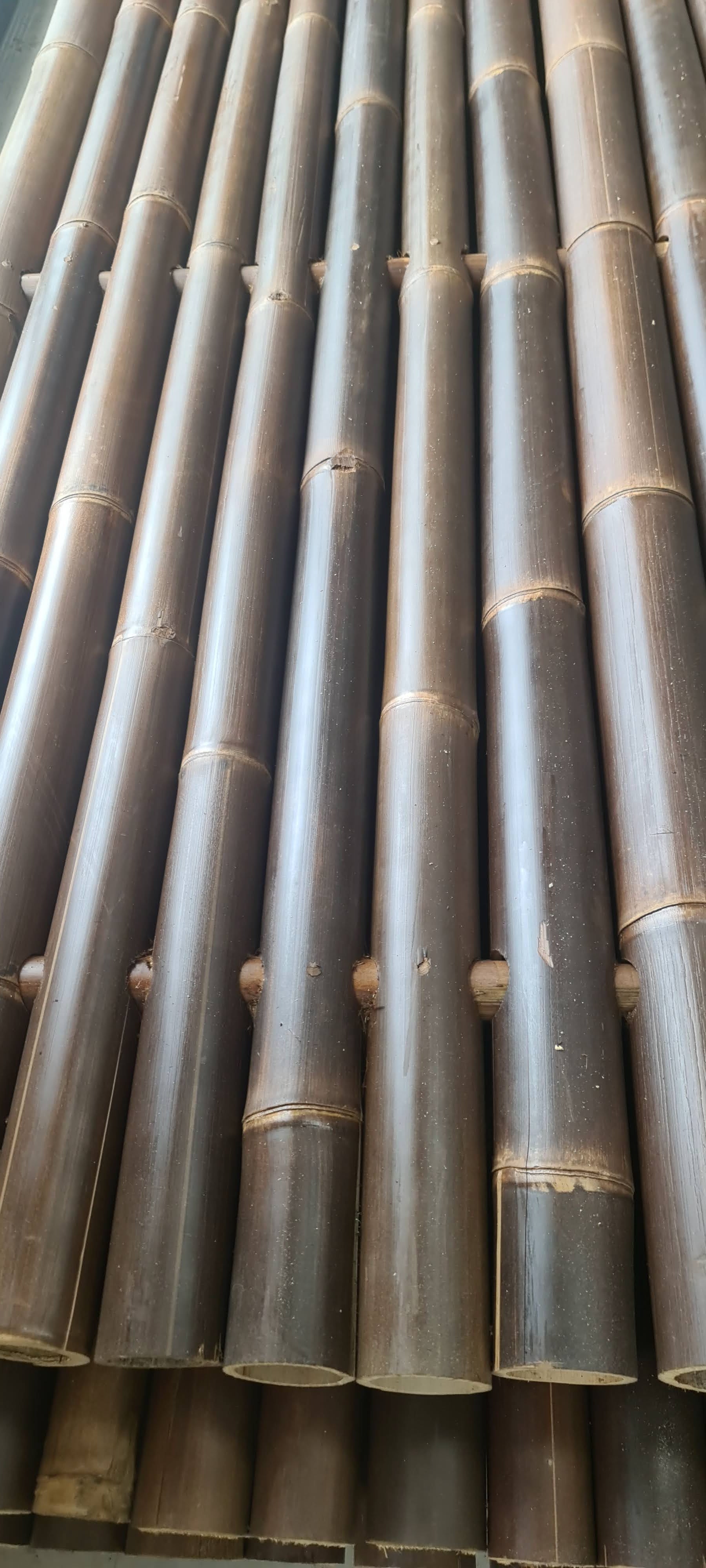 the bamboo Wearhouse has the biggest stock of bamboo fencing in Queensland