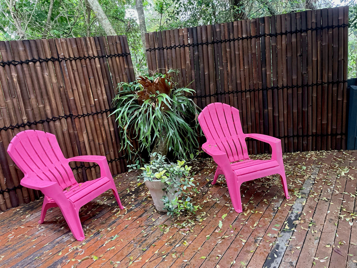 couple of pink chares in front of a bamboo refurbish 