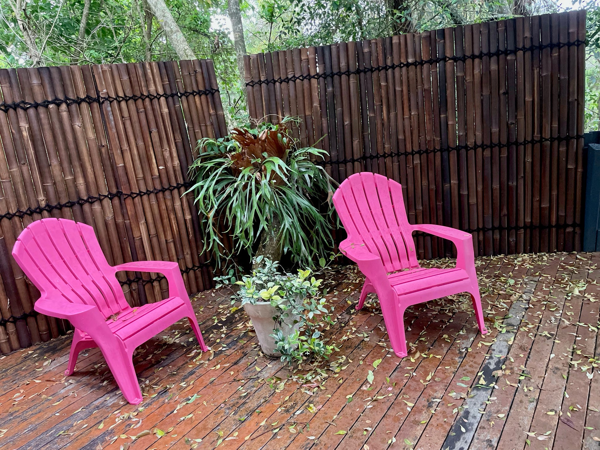 couple of pink chares in front of a bamboo refurbish 