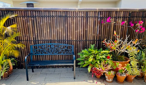 some panels made of bamboo are a nice temporary fence idea in this garden.